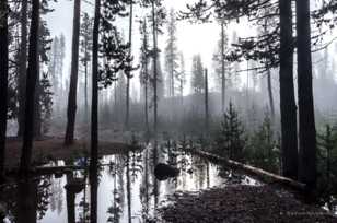 Elk Lake-3384.jpg Elk Lake-3384.jpg